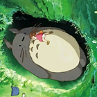 冰山松鼠