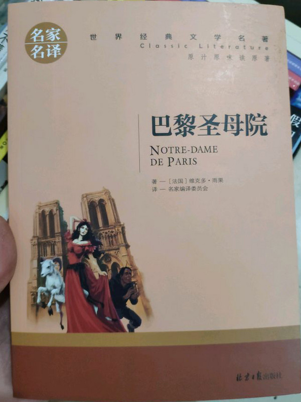 巴黎圣母院 名家名译世界经典文学名著 原汁原味读原著 中小学生新