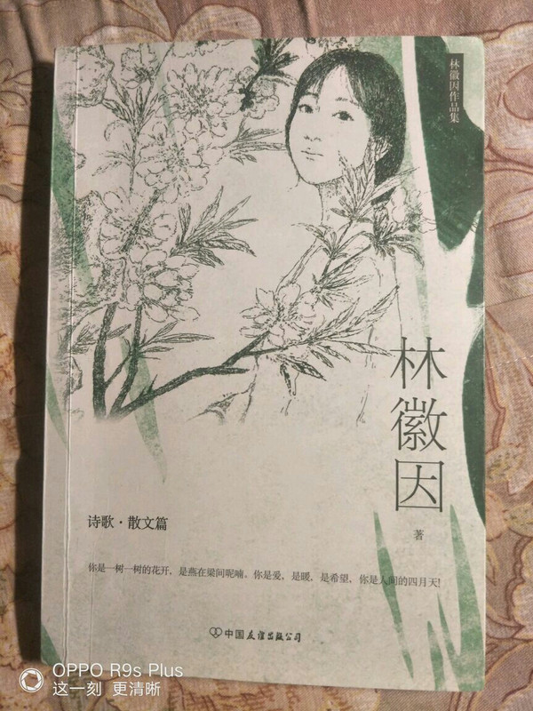 林徽因作品集:你是人间四月天(一代才女林徽因作品集,诗歌,散文,小说