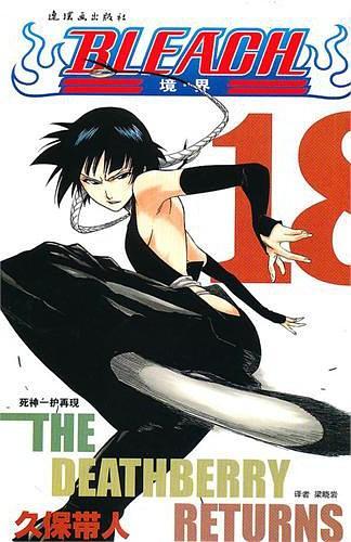 bleach境界18